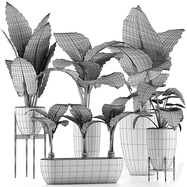 Plants Collection 31 3dskyfree