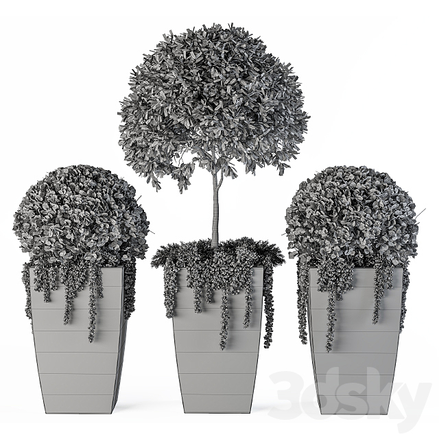 Outdoor Plants Round Topiary Tree – Set 75 3DSMax File - thumbnail 5