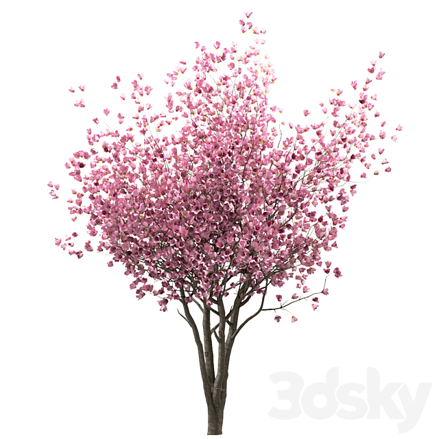 3d
