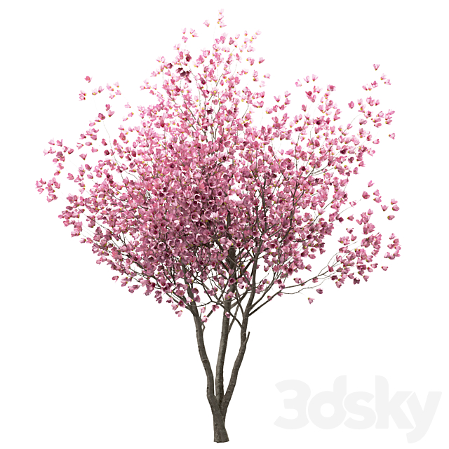 3dsky Free Download