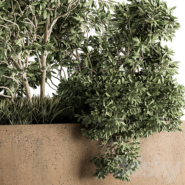 Outdoor Plants Olive – Set 82 3DSMax File - thumbnail 2