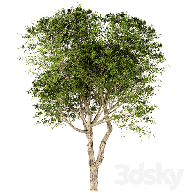3dsky Free Download