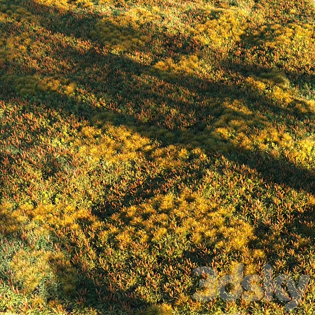 Grass set 2 Free Download