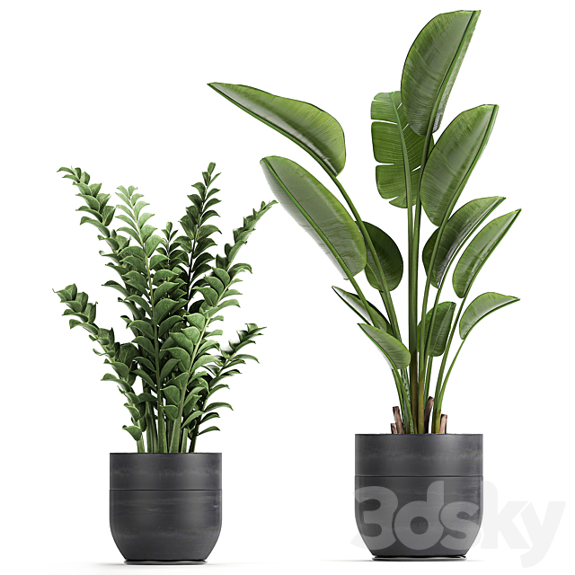3dsky Free Download