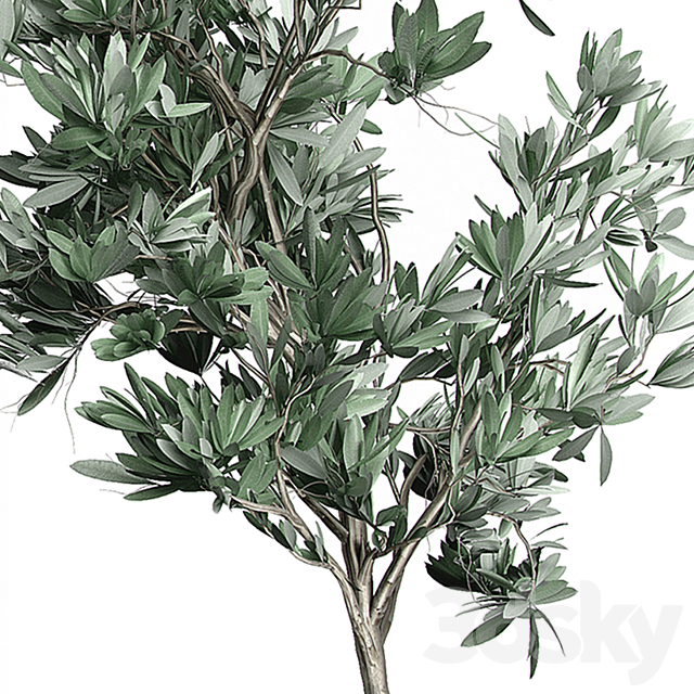 3dsky Free Download