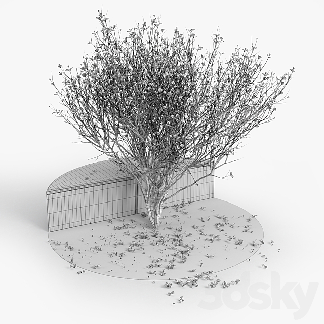 3d