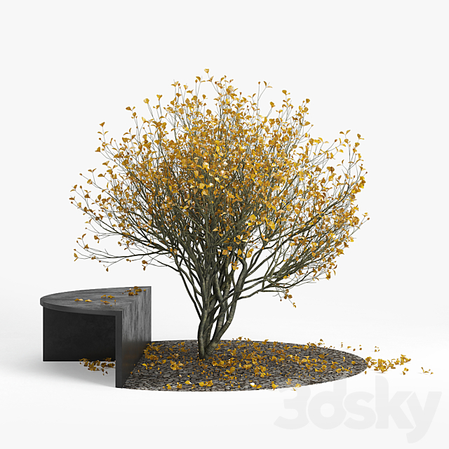 3dsky