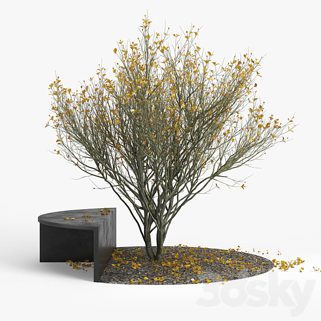 3dskyfree