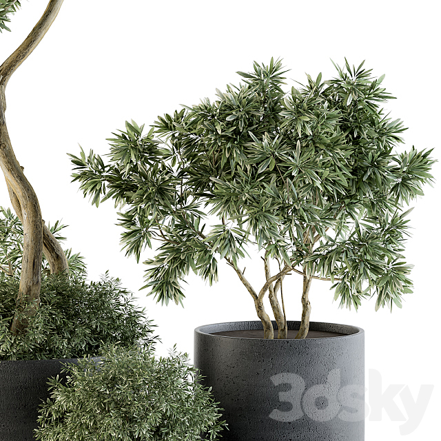 Outdoor Plants Tree in pot – Set 90 3DSMax File - thumbnail 3