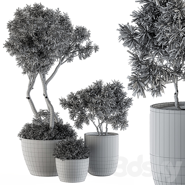 Outdoor Plants Tree in pot – Set 90 3DSMax File - thumbnail 5