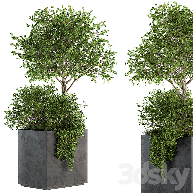 Outdoor Plants in Concrete Plant Box – Set 93 3DSMax File - thumbnail 1