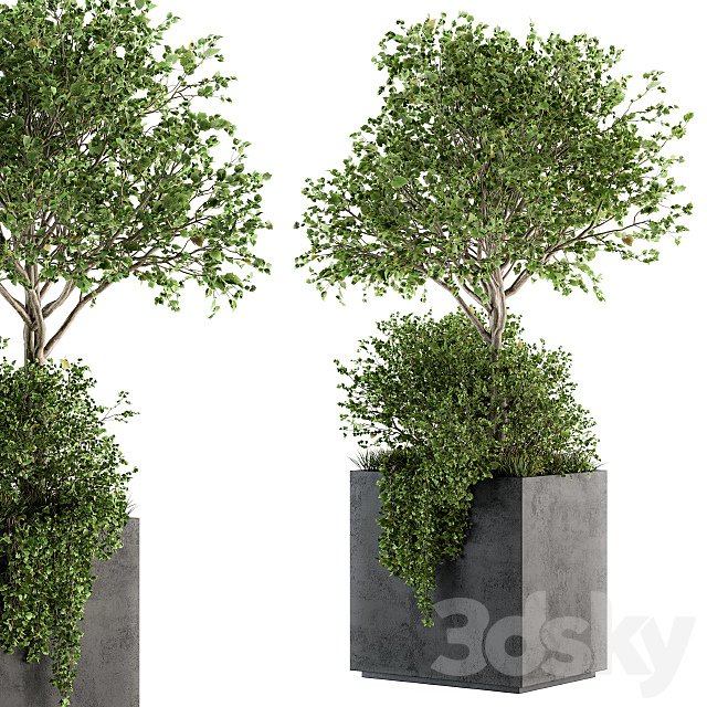 Outdoor Plants in Concrete Plant Box – Set 93 3DSMax File - thumbnail 2