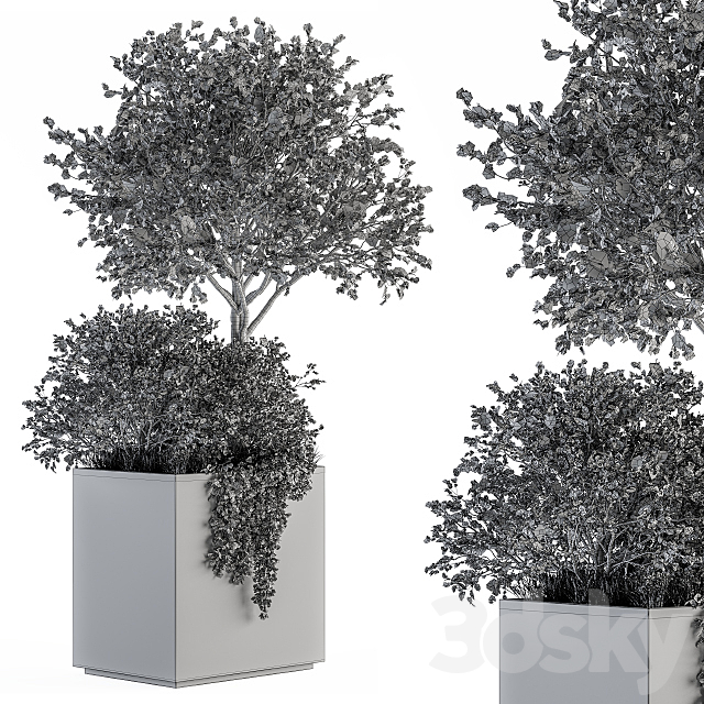 Outdoor Plants in Concrete Plant Box – Set 93 3DSMax File - thumbnail 5