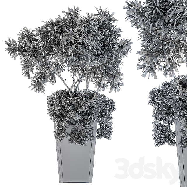 indoor Plant Set 96 – olive 3DSMax File - thumbnail 3