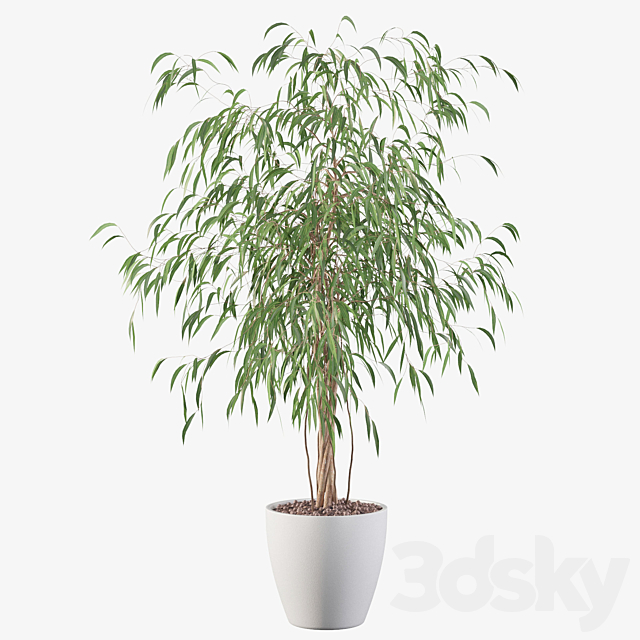 3dsky Free Download