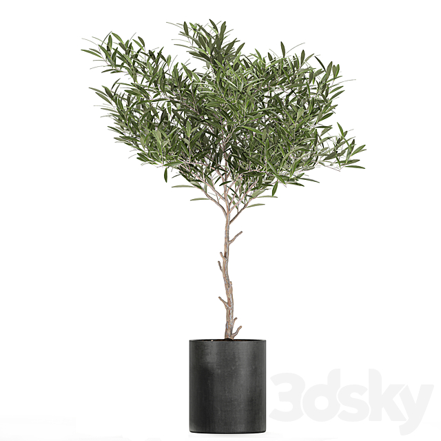 3dsky Free Download