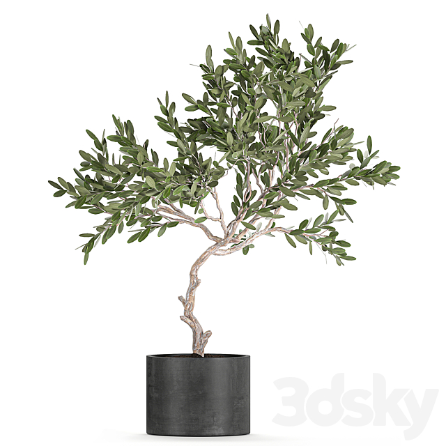 3dsky