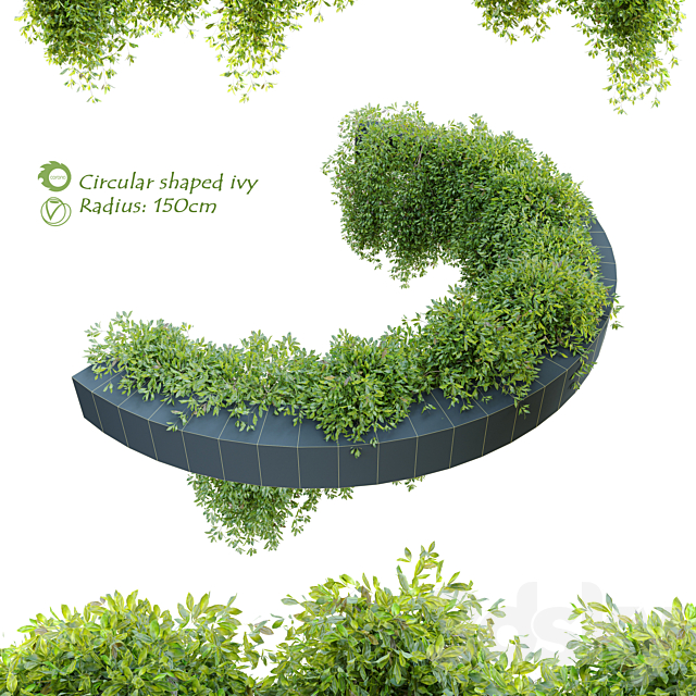 Circular shaped ivy 3DSMax File - thumbnail 1