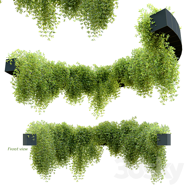 Circular shaped ivy 3DSMax File - thumbnail 2