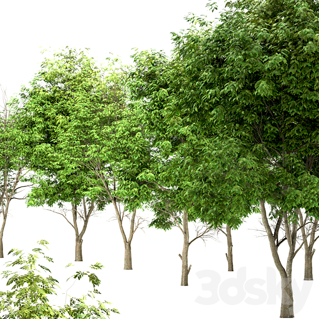 3dsky Free Download