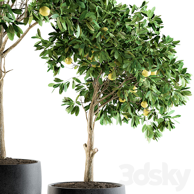 3dsky Free Download