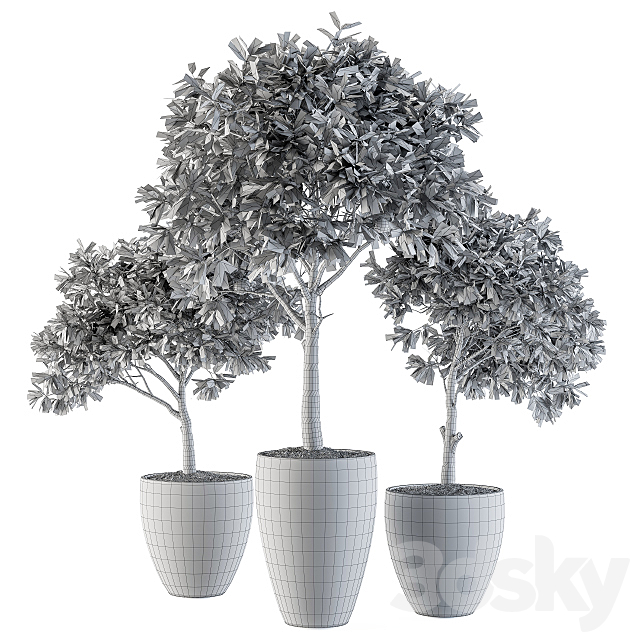 3dskyfree
