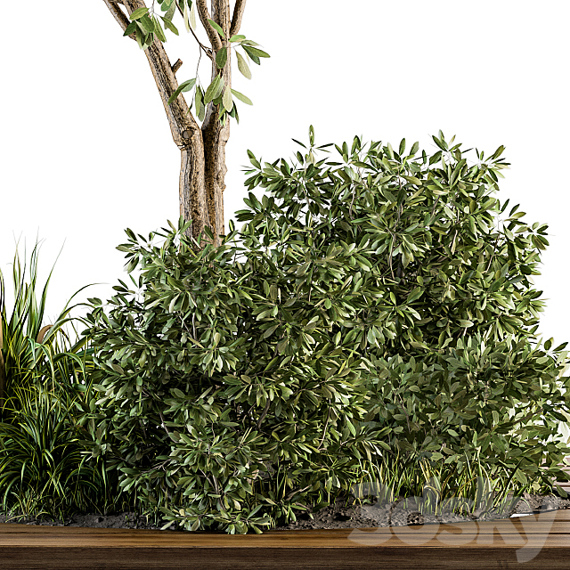 Garden set bush and Tree - Garden Set 05 3d