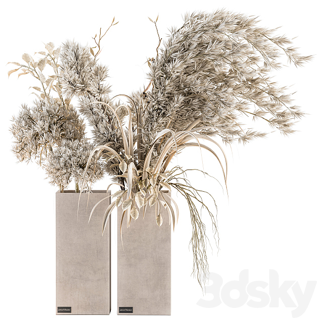 Dry plants 39 – Dried Plant Pampas 3DSMax File - thumbnail 1