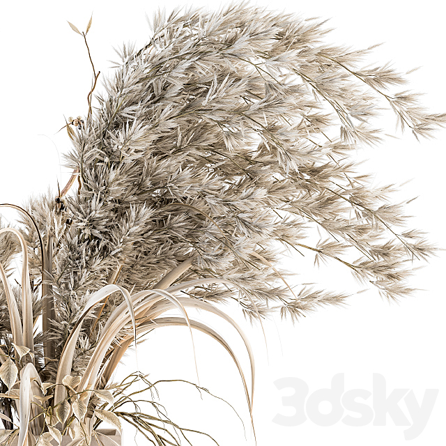 Dry plants 39 – Dried Plant Pampas 3DSMax File - thumbnail 3