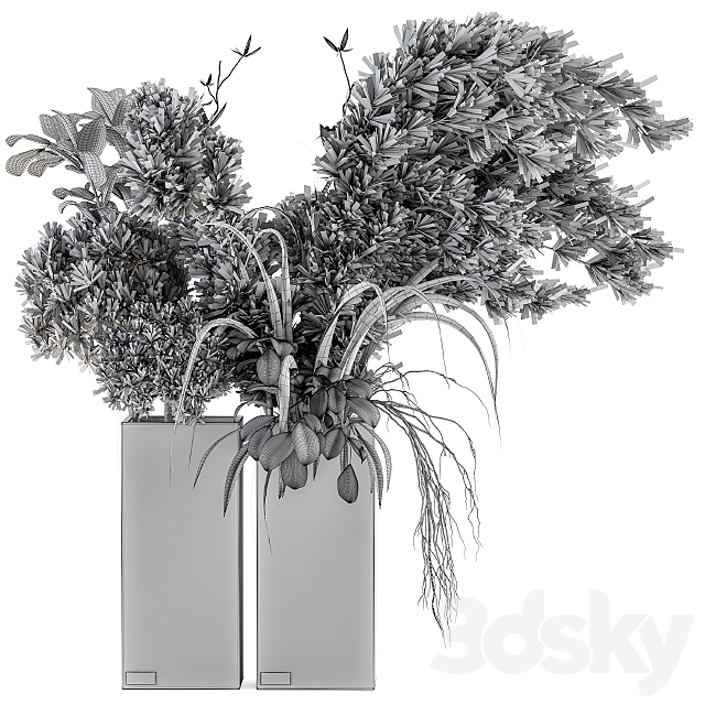 Dry plants 39 – Dried Plant Pampas 3DSMax File - thumbnail 4