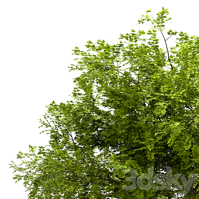 3dsky Free Download