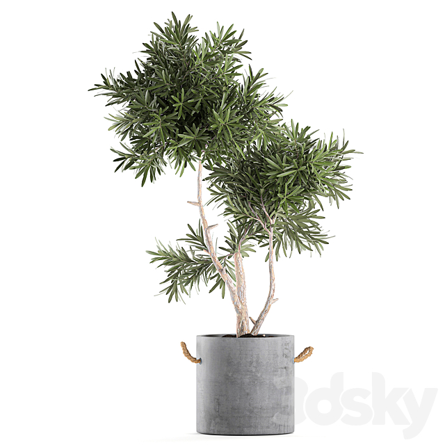 3dsky Free Download