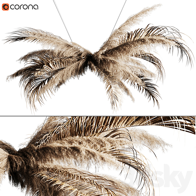 Pampas grass chandelier 02 Free Download