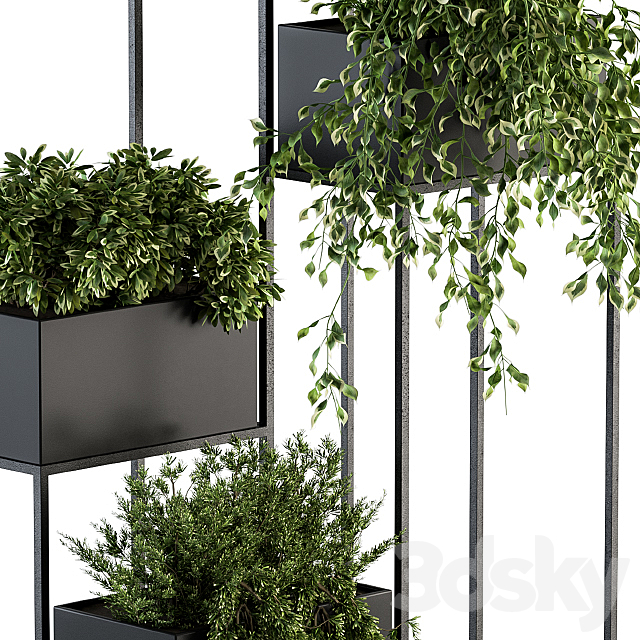indoor Plant Set 100 – Black stand 3DSMax File - thumbnail 3