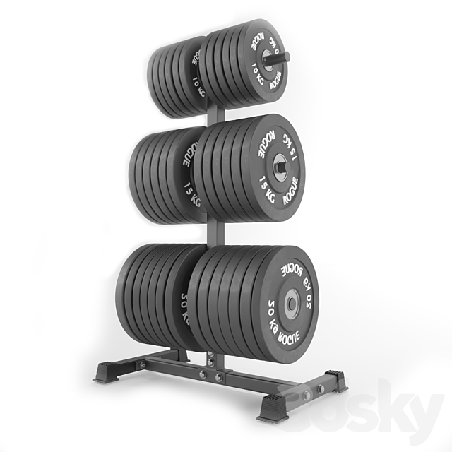 Gym-Tools-Fitness-Body-Building-set-05 3DS Max Model - thumbnail 2