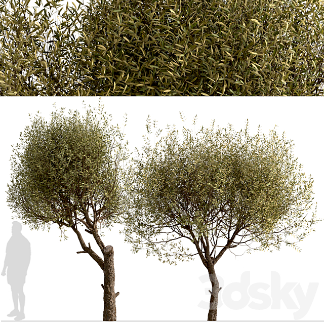 3dsky Free Download