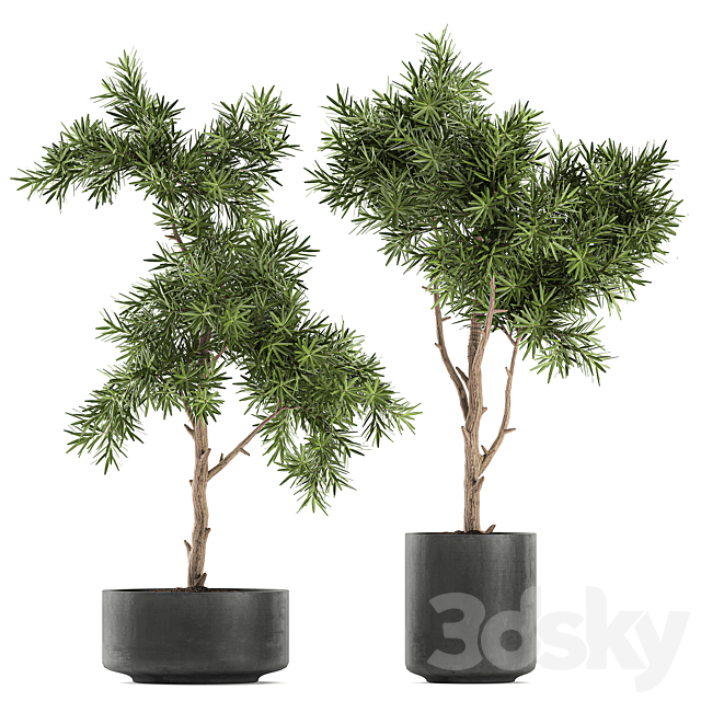 3dsky Free Download