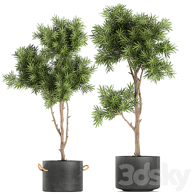 3dsky