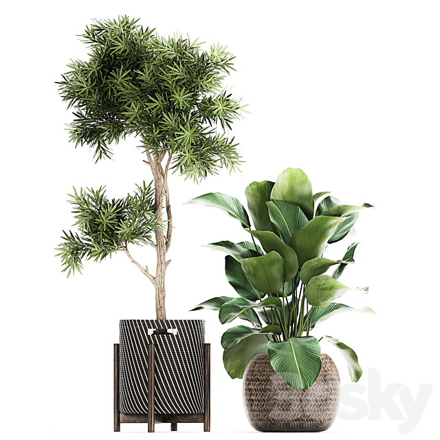 3dsky Free Download