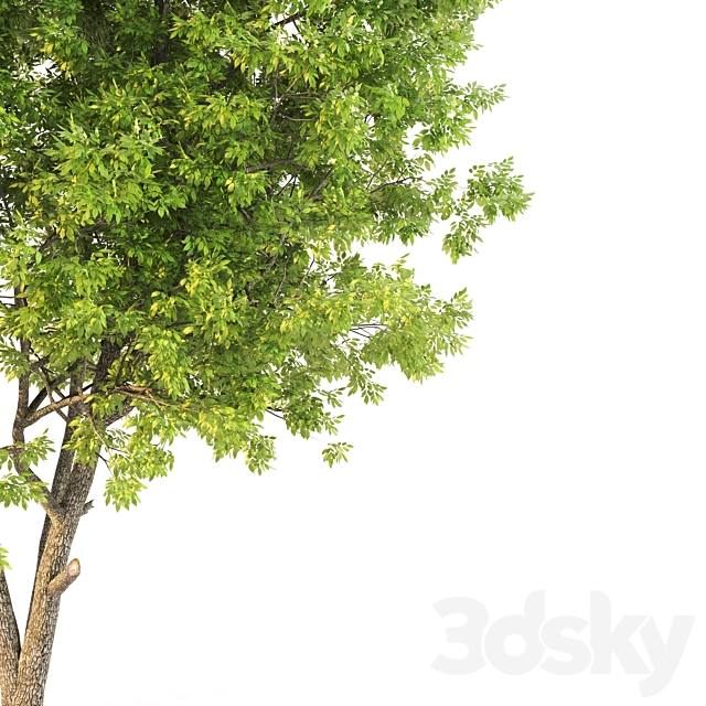 3d