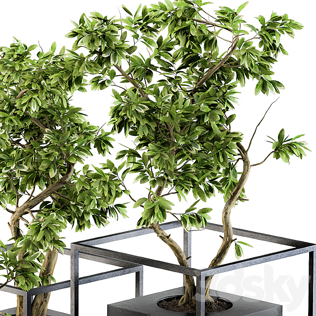 3dsky Free Download