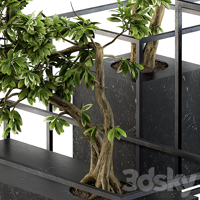 3dsky