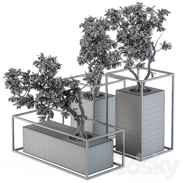 3dskyfree