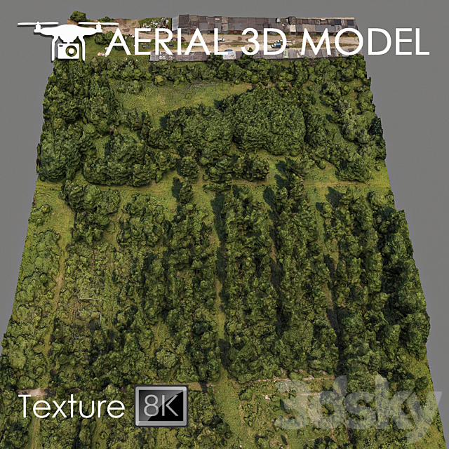 Forest 81 3DSMax File - thumbnail 1