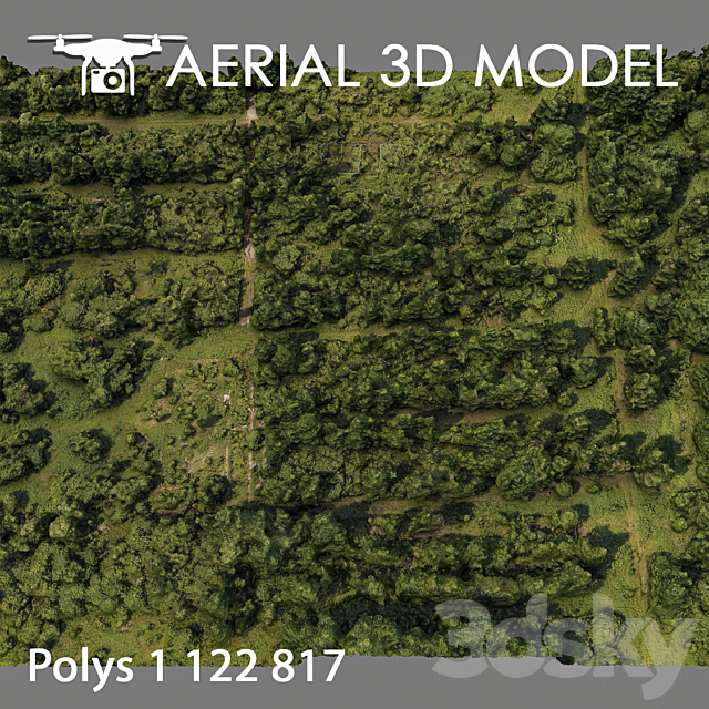 Forest 81 3DSMax File - thumbnail 3