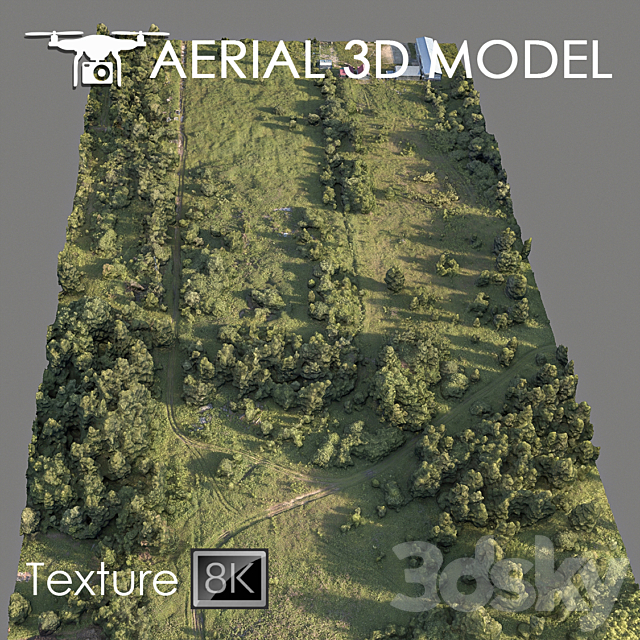 Forest 78 3DSMax File - thumbnail 1