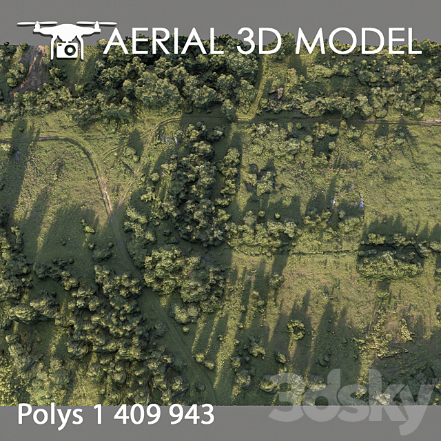 Forest 78 3dsky