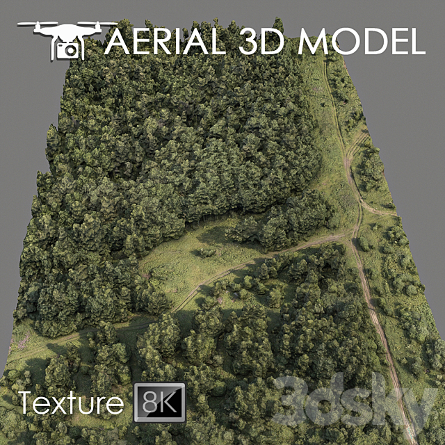 Forest 74 3d