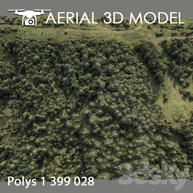 Forest 74 3dsky