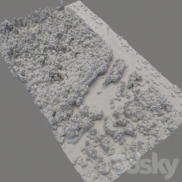 Forest 74 3dskyfree